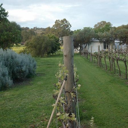 Southern Vales Bed & Breakfast Mclaren Vale Extérieur photo