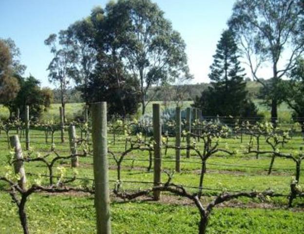 Southern Vales Bed & Breakfast Mclaren Vale Extérieur photo