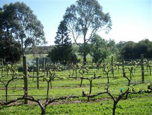 Southern Vales Bed & Breakfast Mclaren Vale Extérieur photo